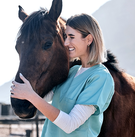 veterinarian_horse