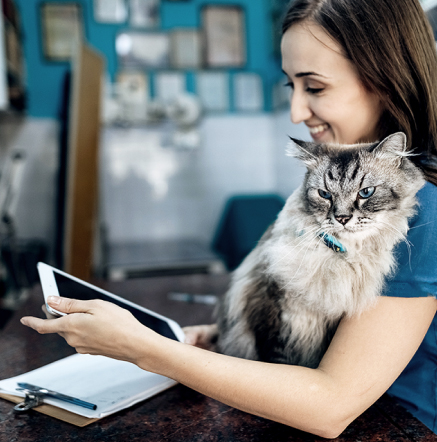 veterinarian-with-cat-and-tablet