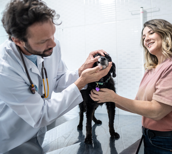 veterinarian-and-black-dog