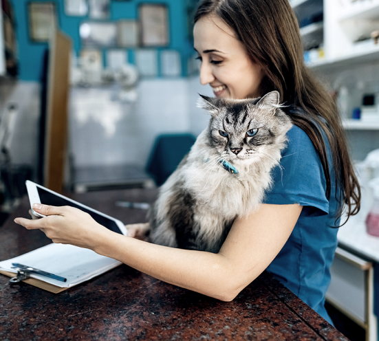 veterinarian-and-fluffy-cat