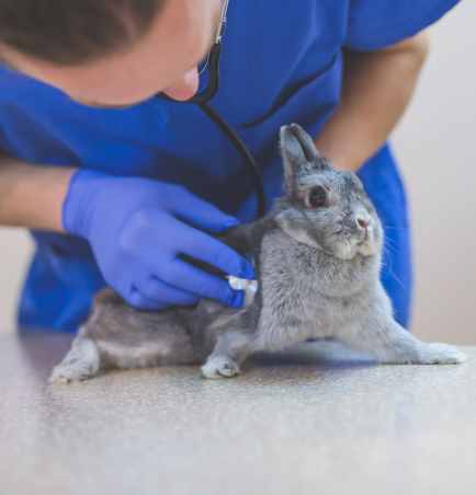 Veterinary Centre