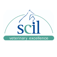 Scil_logo