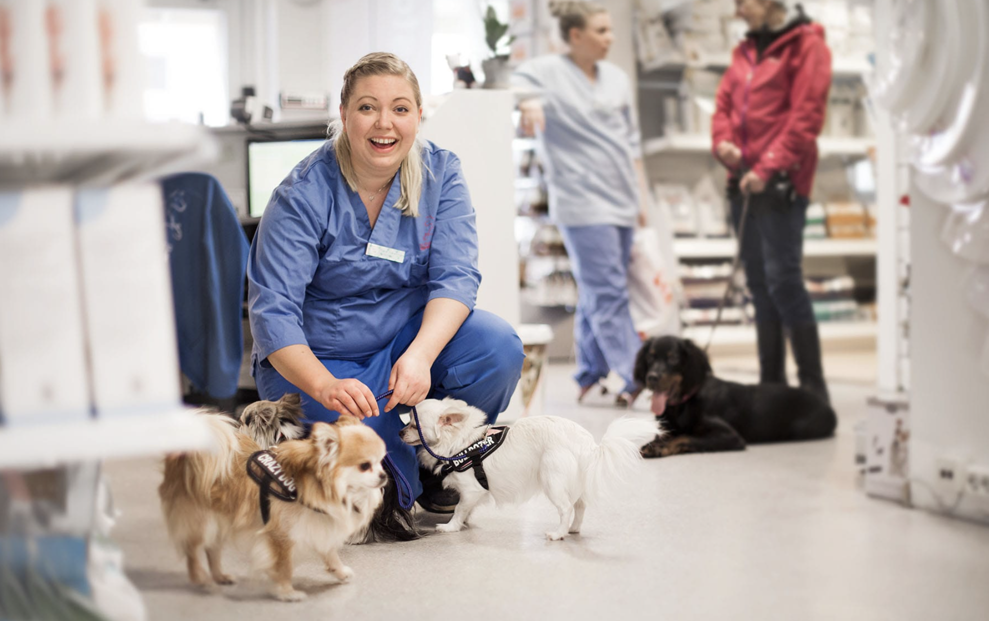 Veterinary staff enjoys her patients.