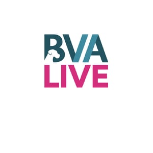 Untitled-22_BVA-1