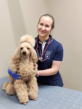 Veterinarian-Heljä