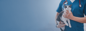 header image_desktop