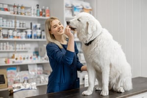 iStock-1320331361 (1)