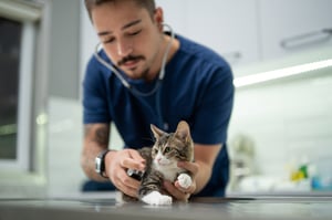 iStock-1435554782
