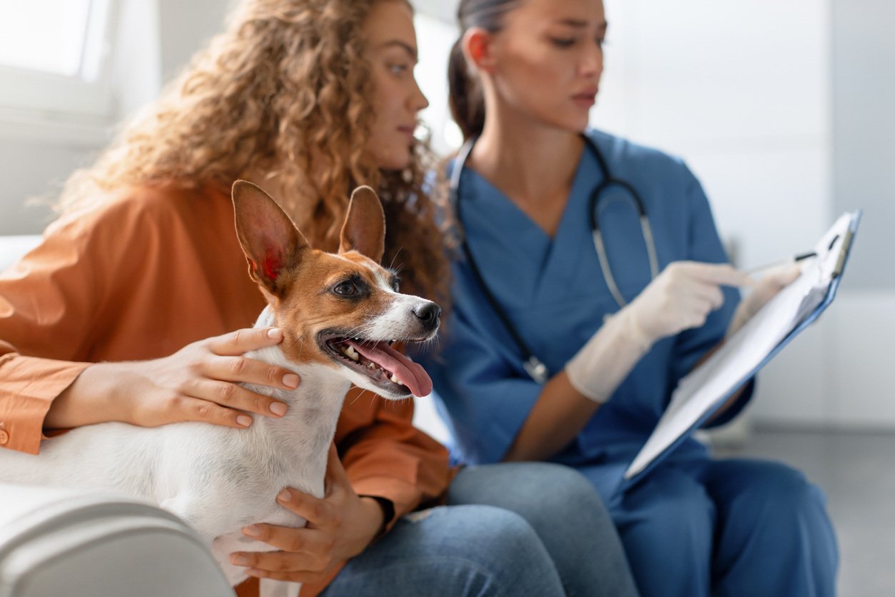 Veterinario