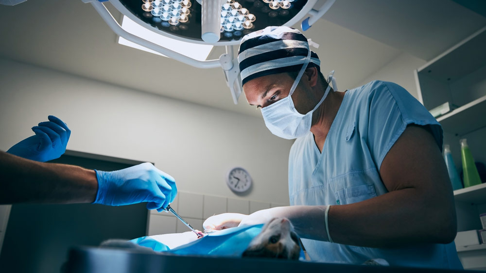 surgery