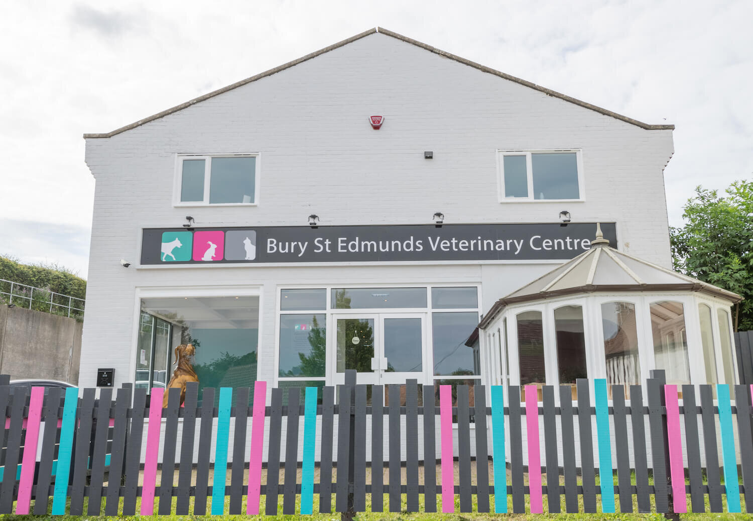 The unexpected link between happy clients & happy veterinary teams