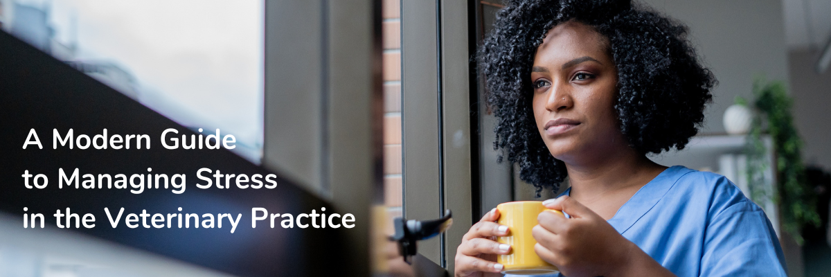 A Modern Guide to Managing Stress in the Veterinary Practice