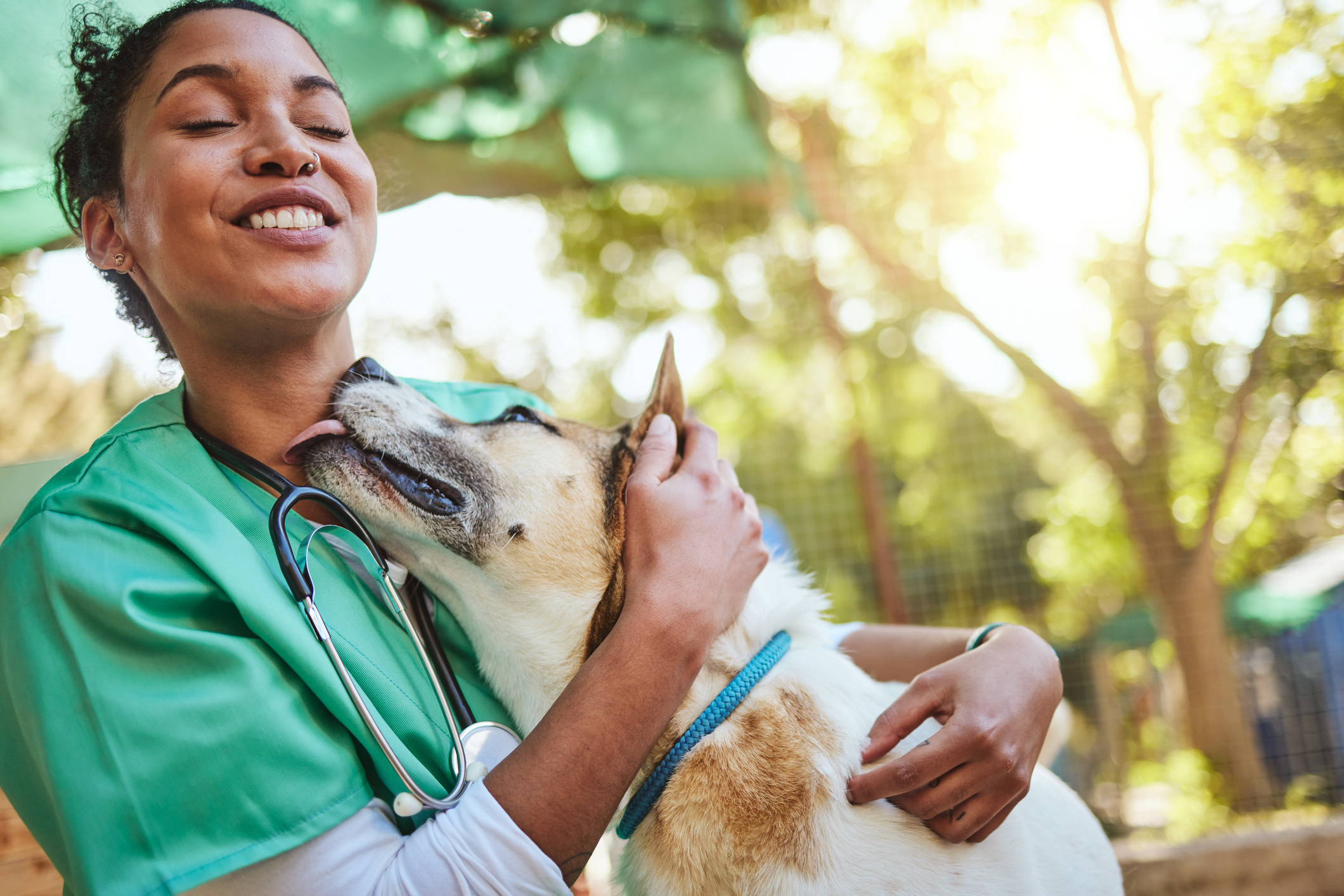 veterinarian-hugging-a-dog