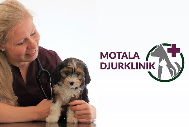 Better workflows and simpler everyday life when Motala Animal clinic switched to Provet Cloud