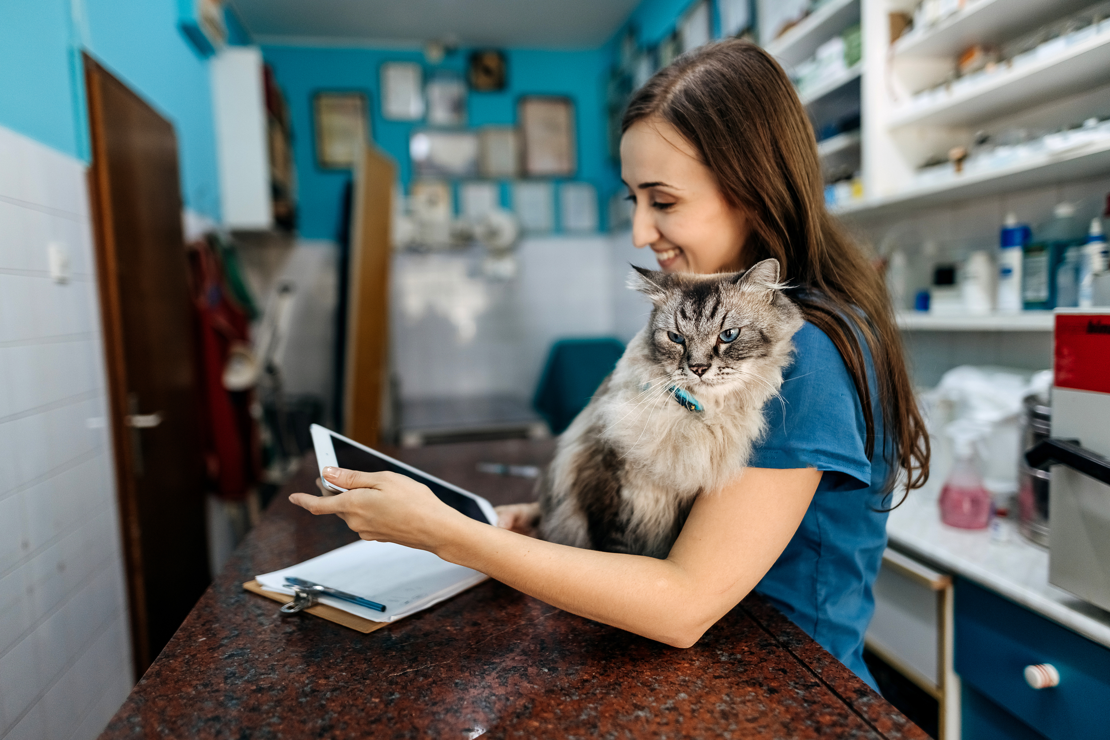 Keys to maximizing the potential of the veterinary practice manager