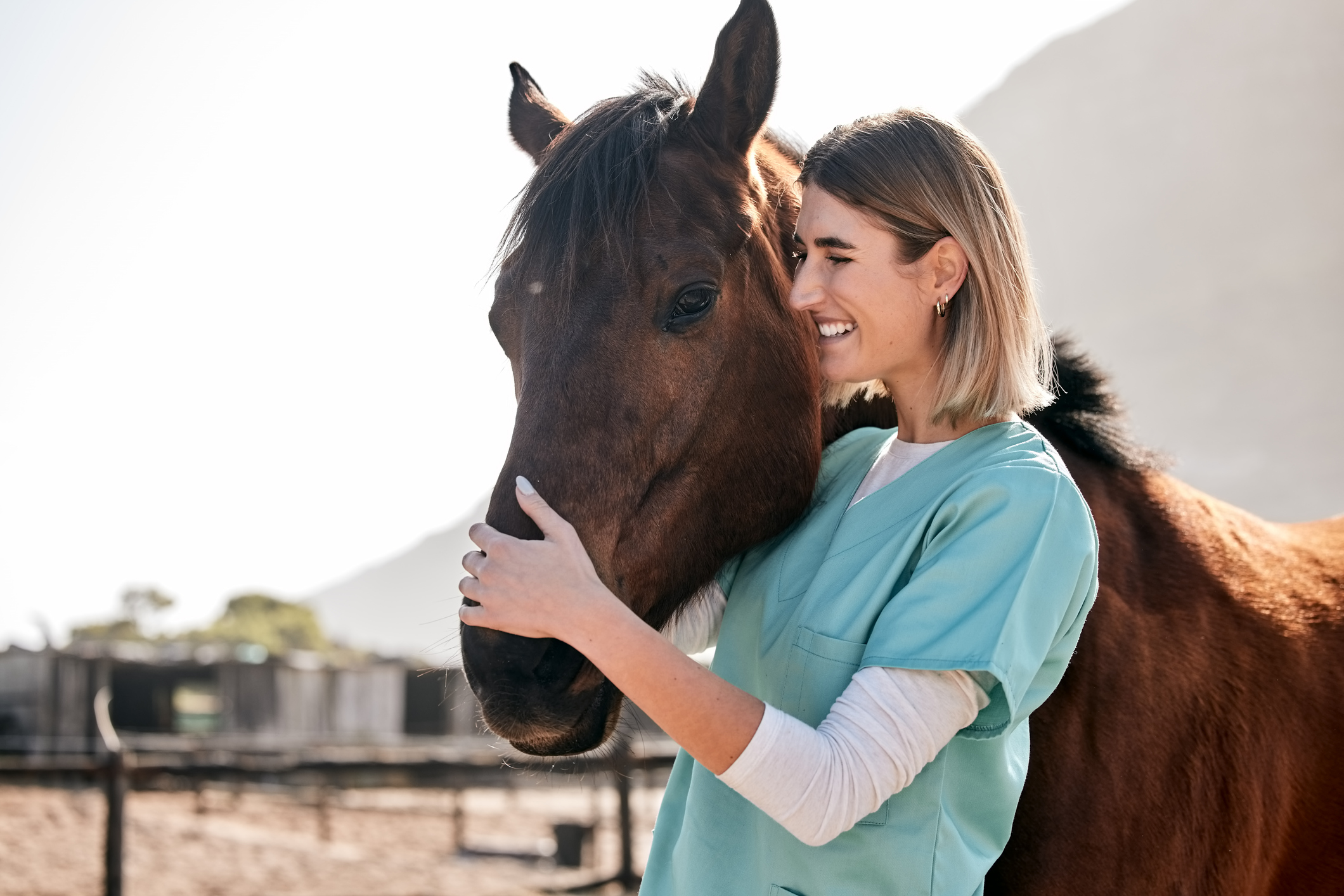 veterinarian-and-horse